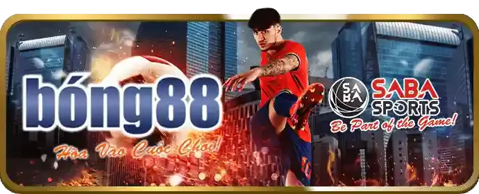 Cá cược bóng đá trực tiếp tại Haybet